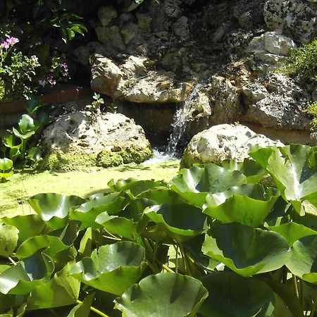 Bed and Breakfast La Cascata Ночи Экстерьер фото