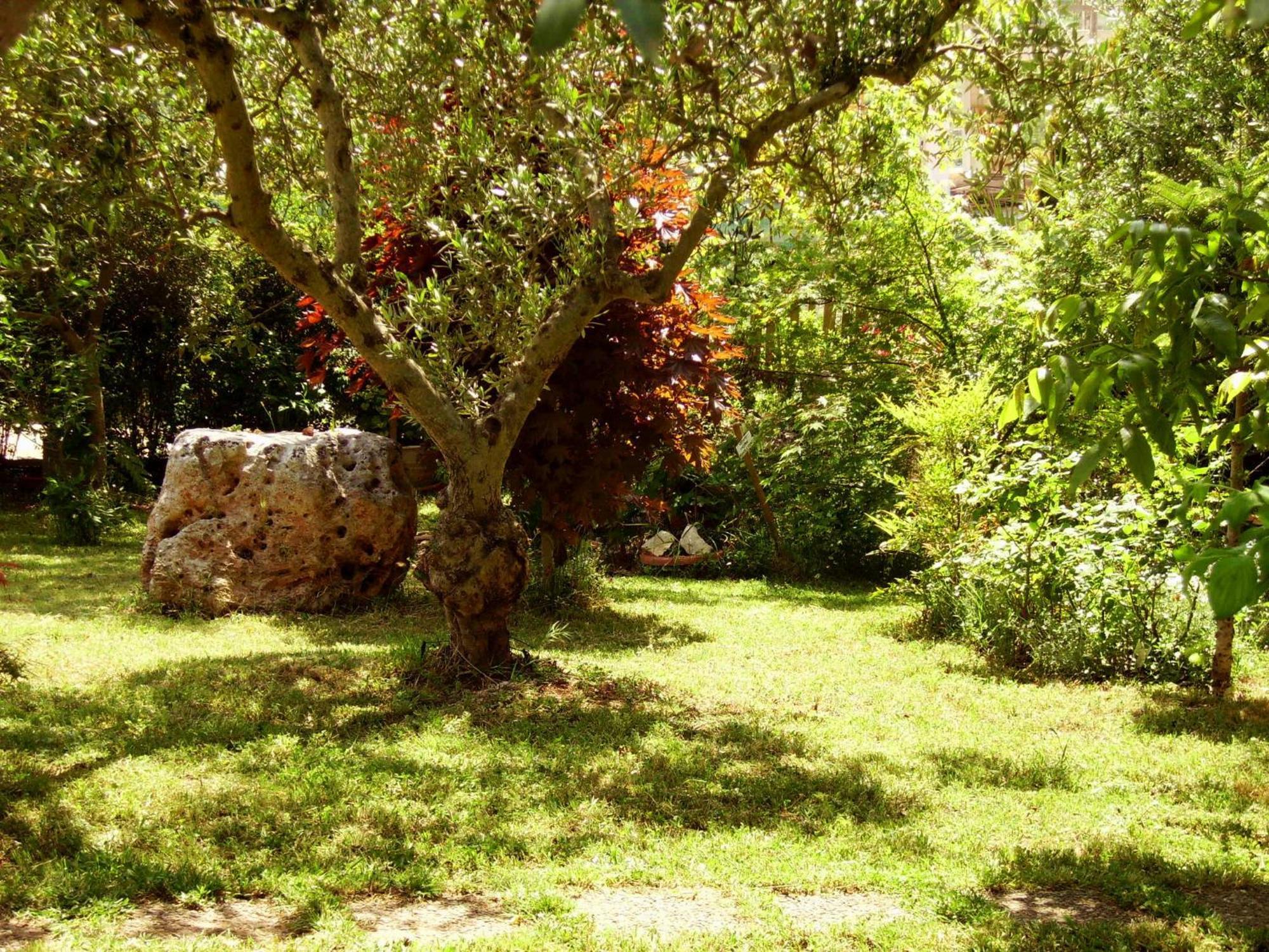 Bed and Breakfast La Cascata Ночи Экстерьер фото